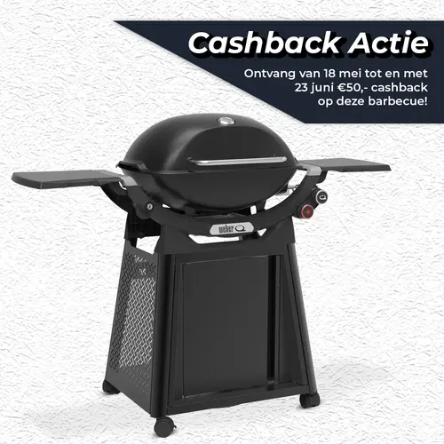 Gasbarbecue q 3200n