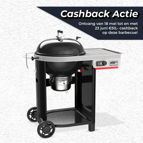 Houtskool bbq performer smart 57cm
