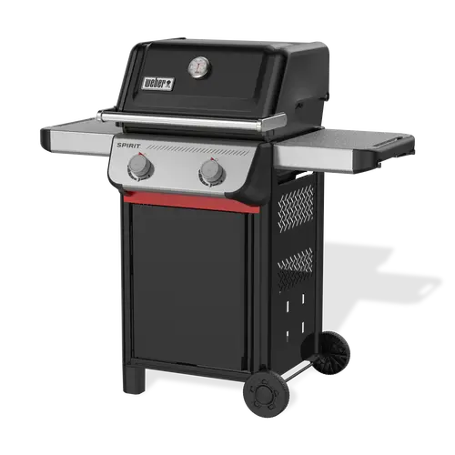 Spirit e-210, weber, BBQkopen