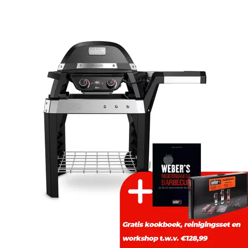 Weber Pulse 2000 met Stand